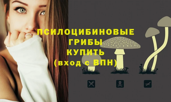 синтетический гашиш Алапаевск